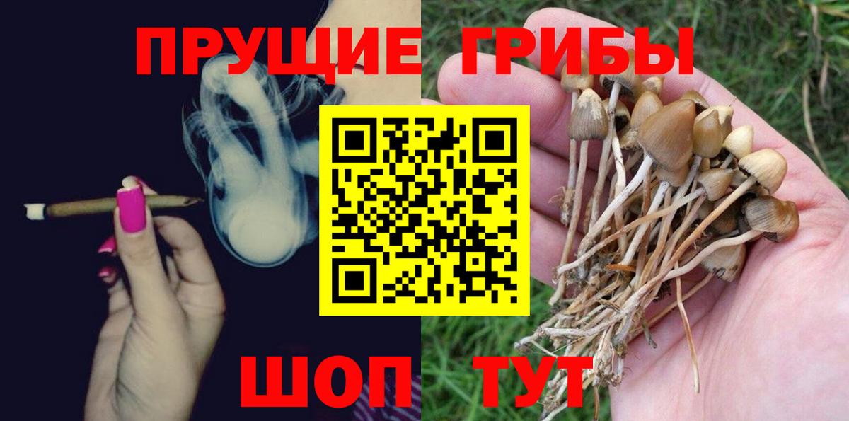 Галлюциногенные грибы GOLDEN TEACHER Дюртюли