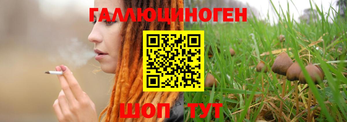 Дюртюли  Псилоцибиновые грибы GOLDEN TEACHER  Вход с VPN  Псилоцибиновые грибы GOLDEN TEACHER 